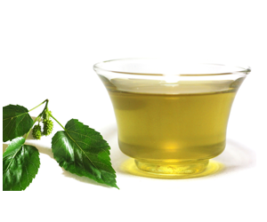 zi-chun-teas-Organic-white-mulberry-leaf-tea-blood-sugar-diabetes-control-tea-drink