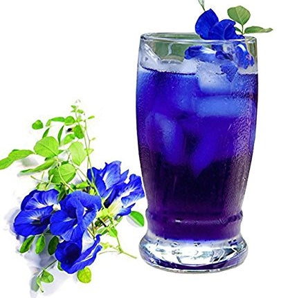 zi-chun-organic-butterfly-pea-flower-tea-anti-aging-autophagy-tea-glass